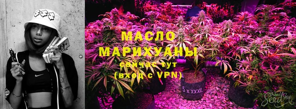 тгк Гусев