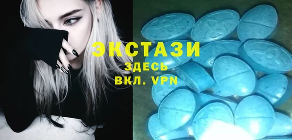 тгк Гусев