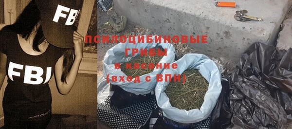 тгк Гусев
