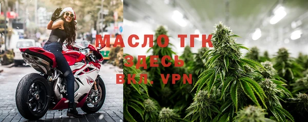 тгк Гусев