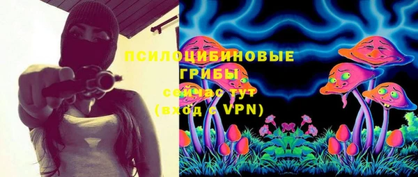 тгк Гусев
