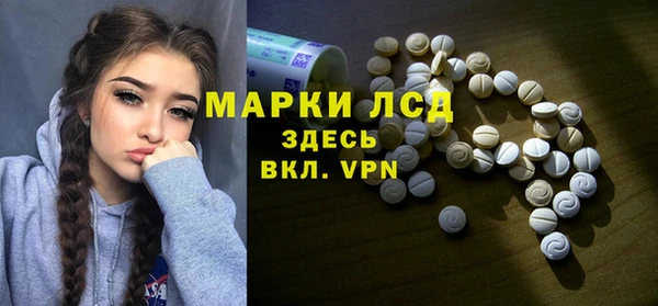 тгк Гусев