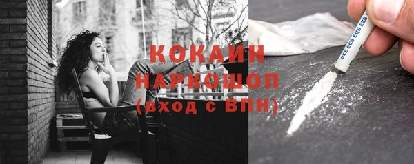 тгк Гусев