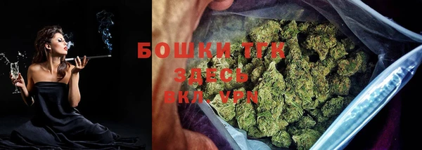 тгк Гусев